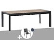 HESPERIDE - Table de jardin rectangulaire extensible alu Evasion 8/10 places effet bois + 10 fauteuils Piazza - Hespéride - vignette