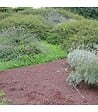 RACINE - Paillage minéral en pouzzolane rouge 12/20 Big bag 1 m3 pour 20m2 - vignette