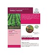 RACINE - Terreau potager, 48 sacs de 50L - PRO218-48x50 - vignette