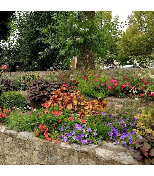 RACINE - Terreau engrais fleurissement 48 sacs 50 l plantes vivaces et annuelles - large
