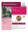 RACINE - Terreau plantes vertes, 10 sacs de 50L - PRO12-10x50 - vignette