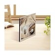 CEANOTHE - Album Photo Pochette Cocoon 64 Photos 10x15 cm - vignette