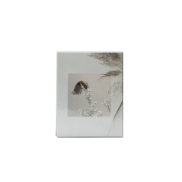 CEANOTHE - Album Photo Pochette Cocoon 64 Photos 10x15 cm - large