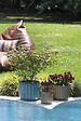 DEROMA - Pot Capri 21,5cm - vignette