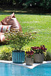 DEROMA - Pot Capri 36cm - vignette