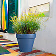DEROMA - Pot décoratif Colorama Vinca - Bleu - Diam.15cm - vignette