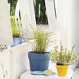 DEROMA - Pot de fleurs Perfetto Colorama Vinca - Bleu - 29cm - vignette