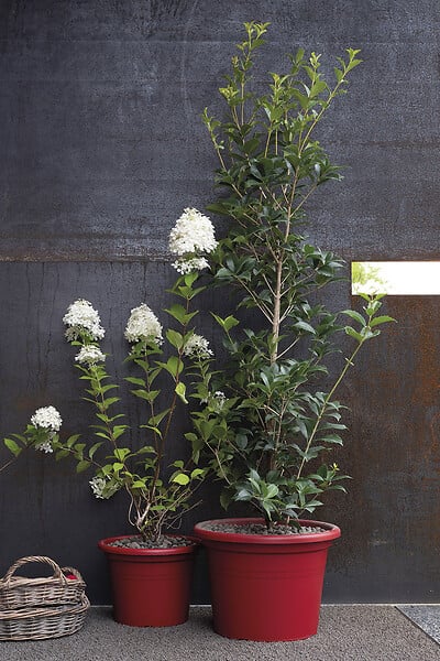 DEROMA - Pot de fleurs Cilindro Day R - Rouge - Diam.30cm - large