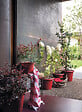 DEROMA - Pot de fleurs Cilindro Day R - Rouge - Diam.35cm - vignette
