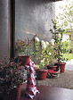 DEROMA - Pot de plante rond Cilindro Day R Rosso - Rouge - Diam.40cm - vignette