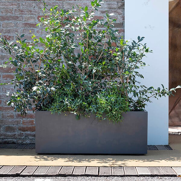 DEROMA - Jardinière Millennium R - Anthracite - L.99xP.38xH.39cm - large