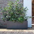 DEROMA - Jardinière Millennium R - Anthracite - L.99xP.38xH.39cm - vignette