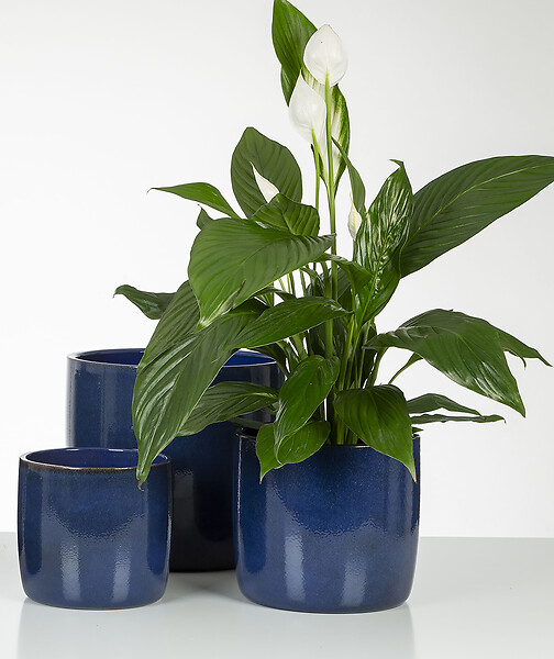 SCHEURICH - Cache-pot céramique 900 Mystic Blue 15cm - large