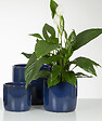 SCHEURICH - Cache-pot céramique 900 Mystic Blue 15cm - vignette