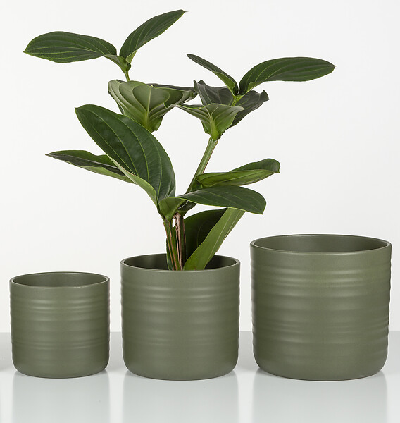 SCHEURICH - Cache-Pot 850 Forest Green 12cm - large