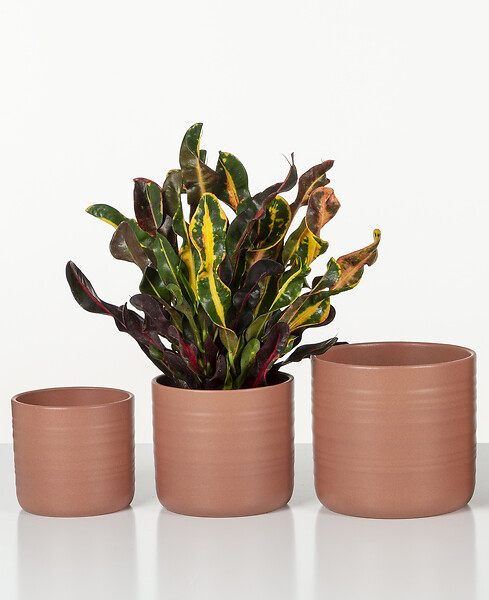 SCHEURICH - Cache-Pot 850 Sunburn 12cm - large