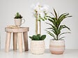 SCHEURICH - Cache-pot céramique 13cm - Alabaster - 2,79L - vignette