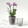 DEROMA - Cache-pot orchidées - Plastique recyclé - 13cm - vignette