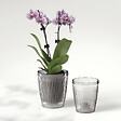 DEROMA - Cache-pot orchidées transparent - Plastique recyclé - 16cm - vignette