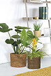 SCHEURICH - Cache-Pot 508 Seagrass Nut 17cm - vignette