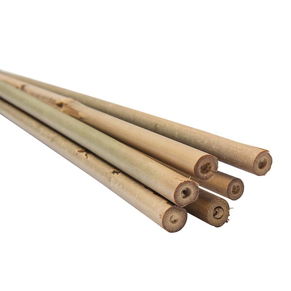 WERKAPRO - Lot de 6 tuteurs en bambou  H 60cm (Ø 6-8 mm) - large