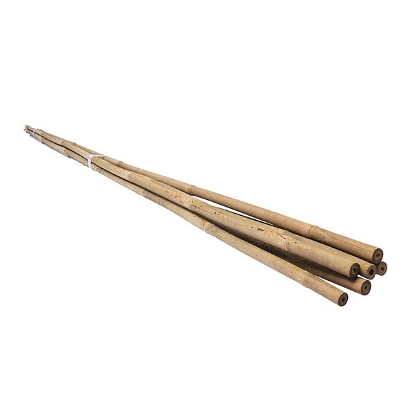 WERKAPRO - Lot de 6 tuteurs en bambou  H 60cm (Ø 6-8 mm) - large