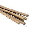 WERKAPRO - Lot de 6 tuteurs en bambou  H 60cm (Ø 6-8 mm) - vignette