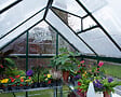 PALRAM - Canopia Serre de jardin Harmony 5,7m² Verte - vignette
