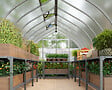 CANOPIA - Canopia Serre de jardin Bella 16,9m² Argent - vignette