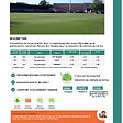 FLORIVERT - Gazon sport jeux Terra Sport 10 kg résistant au piétinement, établissement rapide - Florivert 1201637 - vignette