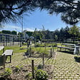 FLORIVERT - Graines de pelouse Terra Terre Pierre 1 kg résistantes au sec, idéal robot tondeuse - Florivert 1206460 - vignette
