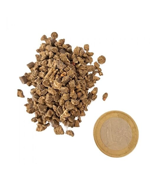 FLORIVERT - Engrais azoté Flori Or 11-2-3 20 kg favorise l'enracinement, pour sols vivants au printemps - Florivert NEG01888 - large