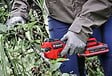 EINHELL - Sécateur sans fil GP-LS 18/28 Li BL-Solo - 18V - moteur brushless - lames SK5 - coupé 28mm - sans batterie/chargeur - vignette