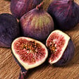 PLANT IN A BOX - Figuier de Barbarie - Set de 2 - Ficus Carica - Hauteur 70-90cm - ⌀21cm - vignette