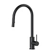 SWISS AQUA TECHNOLOGIES - Swiss Aqua Technologies Aurum mitigeur évier à levier sur pied 44 cm avec douchette extractible 2 jets, noir mat (SATBAUR286C) - vignette