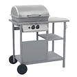 VIDAXL - vidaXL Barbecue à gaz avec tablette à 3 couches Noir et argenté - vignette