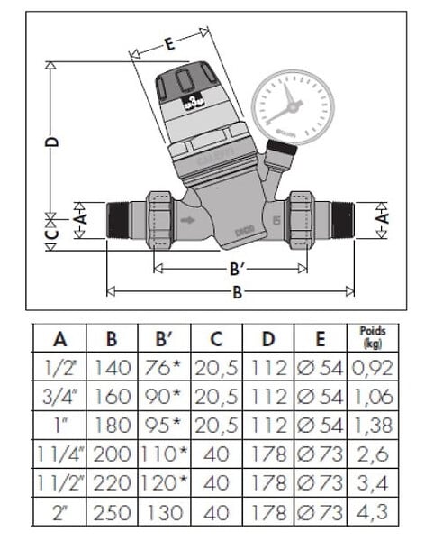 THERMADOR - Réducteur de pression 535 1/2' THERMADOR avec RU et manomètre - R53515 - large