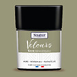 NUANCE - Testeur de peinture Velours - Vert renversant - 75ml - vignette