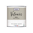 NUANCE - Peinture Velours - Gris méticuleux - 0,5L - vignette