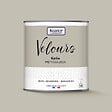 NUANCE - Peinture Velours - Gris méticuleux - 0,5L - vignette