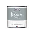 NUANCE - Peinture Velours - Gris valeureux - 0,5L - vignette