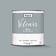 NUANCE - Peinture Velours - Gris valeureux - 0,5L - vignette