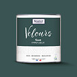NUANCE - Peinture Velours - Vert impétueux - 0,5L - vignette
