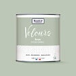 NUANCE - Peinture Velours - Vert passionné - 0,5L - vignette