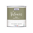 NUANCE - Peinture Velours - Vert renversant - 0,5L - vignette