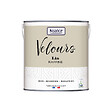 NUANCE - Peinture Velours - Lin raffiné - 2L - vignette