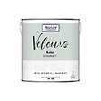 NUANCE - Peinture Velours - Gris discret - 2L - vignette