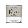 NUANCE - Peinture Velours - Gris méticuleux - 2L - vignette