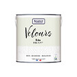 NUANCE - Peinture Velours - Lin délicat - 2L - vignette