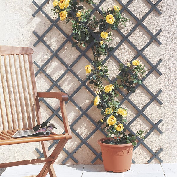NORTENE - Treillis extensible en PVC - Gris - 1x2 m - large
